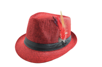 Feather Fedora Hat – Lightweight with Stylish Feather Band | Florida Hat Co.