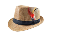 Feather Fedora Hat – Lightweight with Stylish Feather Band | Florida Hat Co.