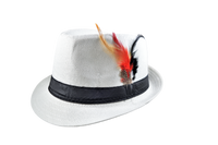 Feather Fedora Hat – Lightweight with Stylish Feather Band | Florida Hat Co.